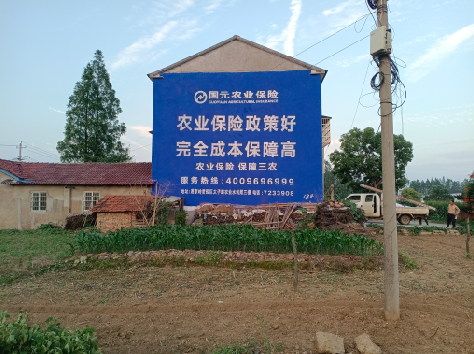 新晃墙体广告为何受追捧？